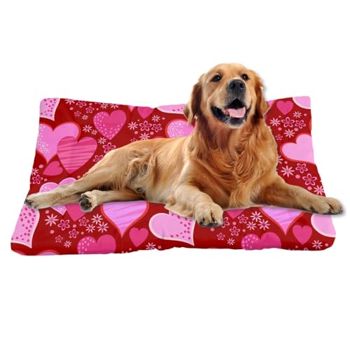 Nudoraw Hundebett Mittelgroße Hunde,Hundekissen Mittelgroße Hunde,Hundekörbchen,Hundekorb,Hundematte Waschbarm,Hundebetten,Dog Bed,Hundebettn Waschbar,Katzenkissen,Hundeliege,Valentinstag,61x46cm Nudoraw Hundebett Mittelgroße Hunde,Hundekissen Mittelgroße Hunde,Hundekörbchen,Hundekorb,Hundematte Waschbarm,Hundebetten,Dog Bed,Hundebettn Waschbar,Katzenkissen,Hundeliege,Valentinstag,61x46cm von Nudoraw