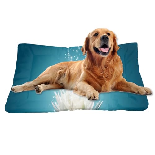 Nudoraw Hundebett Mittelgroße Hunde,Hundekissen Mittelgroße Hunde,Hundekörbchen,Hundekorb,Hundematte Waschbarm,Hundebettn Waschbar,Dog Bed,Hundebetten,Katzenkissen,Hundeliege,Galaxie-Print,61x46cm Nudoraw Hundebett Mittelgroße Hunde,Hundekissen Mittelgroße Hunde,Hundekörbchen,Hundekorb,Hundematte Waschbarm,Hundebettn Waschbar,Dog Bed,Hundebetten,Katzenkissen,Hundeliege,Galaxie-Print,61x46cm von Nudoraw