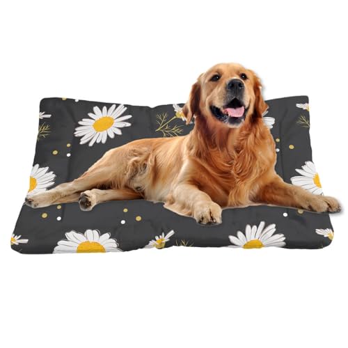 Nudoraw Hundebett Mittelgroße Hunde,Hundekissen Mittelgroße Hunde,Hundekörbchen,Hundematte Waschbarm,Hundekorb,Hundebettn Waschbar,Dog Bed,Hundebetten,Katzenkissen,Blumenmuster,Hundeliege,61x46cm von Nudoraw