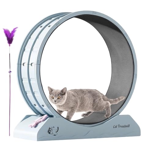 Nudorpn Laufrad für Katzen, Laufrad für Katzen, Laufmatte für Fitness, Laufrad mit Teaser für den Gewichtsverlust von Katzen, Laufmatte für Katzen im Innenbereich, Laufmatte für Kätzchen Nudorpn Laufrad für Katzen, Laufrad für Katzen, Laufmatte für Fitness, Laufrad mit Teaser für den Gewichtsverlust von Katzen, Laufmatte für Katzen im Innenbereich, Laufmatte für Kätzchen von Nudorpn