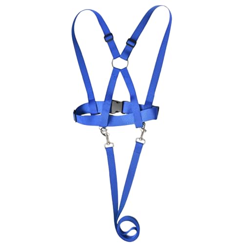 Kinderspiel Reitseil, Camping Child Safety-Leine, Flughafen-Reise-Babygurt, Mehrfachanpassung, Nylonmaterial, 39,5-63 cm, Für Draußen, Gehen, Camping Kinderspiel Reitseil, Camping Child Safety-Leine, Flughafen-Reise-Babygurt, Mehrfachanpassung, Nylonmaterial, 39,5-63 cm, Für Draußen, Gehen, Camping von Nuhjytgf