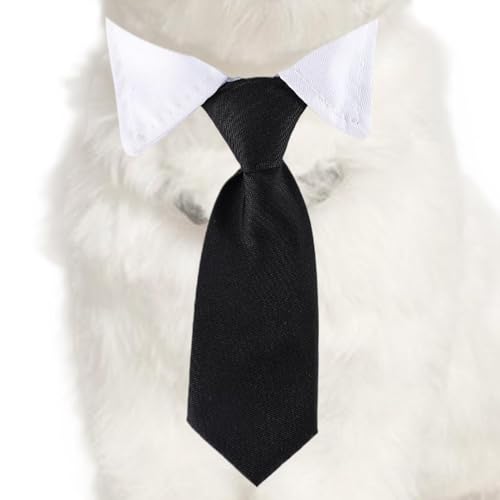 Nuhjytgf Smokinghalsband für Hunde, formelles Bandana-Halsband mit Fliege, niedliches Design, formelles Hunde-Bandana-Halsband für den täglichen Gebrauch, Hochzeit, Spazierengehen, Valentinstag Nuhjytgf Smokinghalsband für Hunde, formelles Bandana-Halsband mit Fliege, niedliches Design, formelles Hunde-Bandana-Halsband für den täglichen Gebrauch, Hochzeit, Spazierengehen, Valentinstag von Nuhjytgf