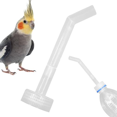 Nuhjytgf Vogeltrinkerfuttermittel, Vogelwasserer und Feeder - Bird Waterer Dispenser Füllstoff Injector - Long Trinker Injektor, Füllwerkzeugwässerungssystem, Fütterung von Vorräten für Papageien Nuhjytgf Vogeltrinkerfuttermittel, Vogelwasserer und Feeder - Bird Waterer Dispenser Füllstoff Injector - Long Trinker Injektor, Füllwerkzeugwässerungssystem, Fütterung von Vorräten für Papageien von Nuhjytgf