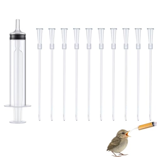 Nuibbe 10Pcs Spritze 10ml, 1Pcs Spritze Mit Schlauch Füttern Spritzen 10ml, Knopfkanüle Milch, Wasser, Medikamente, Einfach Zu Reinigen, Tauben Zubehör, Feeder Futter Nuibbe 10Pcs Spritze 10ml, 1Pcs Spritze Mit Schlauch Füttern Spritzen 10ml, Knopfkanüle Milch, Wasser, Medikamente, Einfach Zu Reinigen, Tauben Zubehör, Feeder Futter von Nuibbe