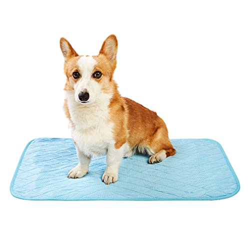 Nunubee Waschbare PIPI-Pads Für Hunde, rutschfeste Hundepads Mit Hoher Saugfähigkeit, Wiederverwendbare Trainingspads, wasserdichte Matte Für Welpen, Laufstall, Käfig, Zwinger/Im Freien,M Nunubee Waschbare PIPI-Pads Für Hunde, rutschfeste Hundepads Mit Hoher Saugfähigkeit, Wiederverwendbare Trainingspads, wasserdichte Matte Für Welpen, Laufstall, Käfig, Zwinger/Im Freien,M von Nunubee