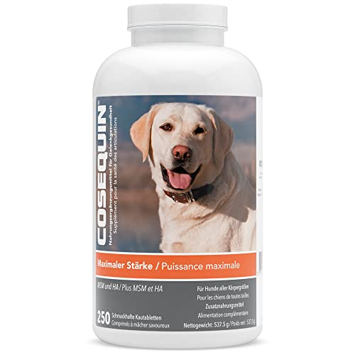 Nutramax Cosequin MSM und HA Kautabletten, Nahrungsergänzungsmittel für Gelenke mit maximaler Stärke mit Glucosamin und Chondroitin für Hunde Aller Größen, 250 Kautabletten von Nutramax Laboratories