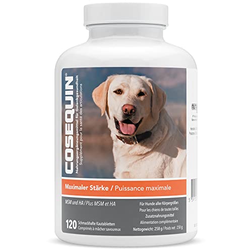 Nutramax Laboratories COSEQUIN Maximale Stärke Gelenkergänzungsmittel Plus MSM & HA mit Glucosamin und Chondroitin - für Hunde - 120 Kautabletten von Nutramax Laboratories