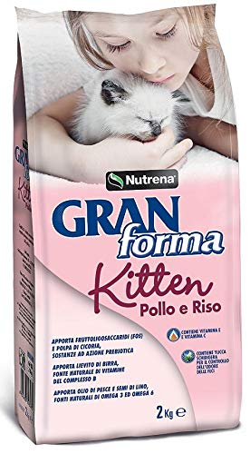 Nutrena Gran Forma KITTEN POLLO E RISO - Alimento completo gattini - Kg. 2 von Nutrena