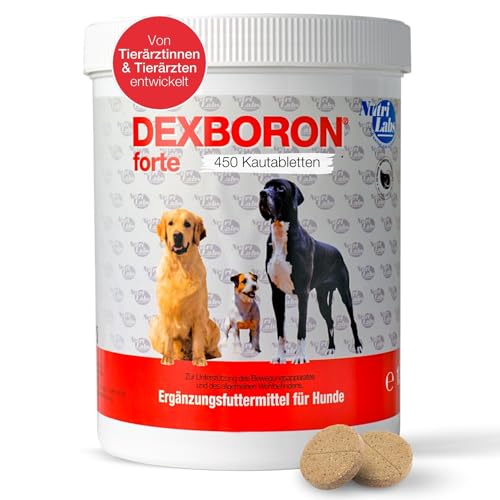 NutriLabs Dexboron® forte Hunde Kautabletten 450 STK. - Tabletten mit Teufelskralle für Hunde - Hunde Regenerationsmittel mit Weidenrinde, Weihrauchextrakt u.v.m. - Hunde Regenerationsmittel von NutriLabs