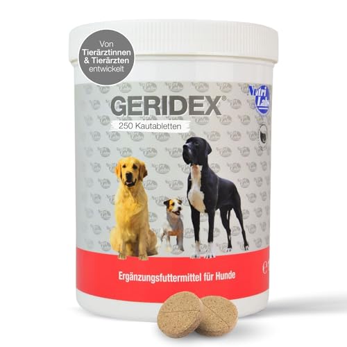 NutriLabs Geridex® Tabletten für Senioren-Hunde 250 STK. - Seniorentabletten für Hunde mit Glucosamin, Weißdorn u.v.m. - Hunde-Nahrungsergänzung - Teufelskralle-Tabletten - MSM-Hund von NutriLabs