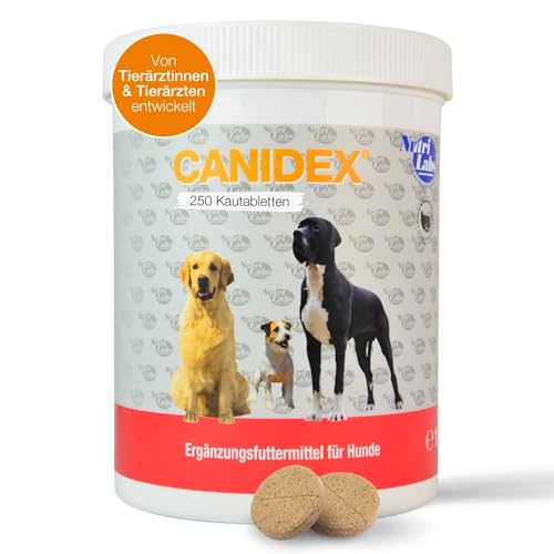 NutriLabs Canidex Gelenktabletten für Hunde 250 Stk. - mit MSM, Hyaluronsäure, Glucosamin, uvm. - Gesundheitsprodukte für Hunde - Nahrungsergänzungsmittel Hund - Teufelskralle-Hund von NutriLabs