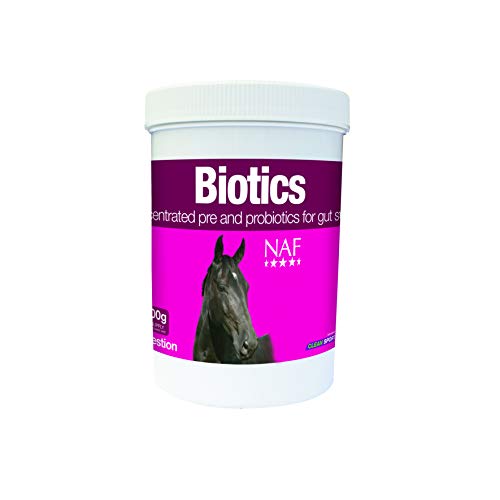 NutriLabs Synbiotix Ergänzungsfuttermittel Pulver für Pferde, 1er Pack (1 x 800 g) von NAF
