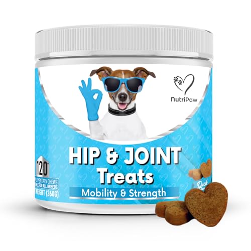 NutriPaw Gelenk- und Hüftleckerlis für Hunde - Steifheit, Stärke, Beweglichkeit und Flexibilität - Gelenkergänzung mit Glucosamin, MSM, Chondroitin und Grünlippmuschel - Perfekt für alle Hunde NutriPaw Gelenk- und Hüftleckerlis für Hunde - Steifheit, Stärke, Beweglichkeit und Flexibilität - Gelenkergänzung mit Glucosamin, MSM, Chondroitin und Grünlippmuschel - Perfekt für alle Hunde von NutriPaw