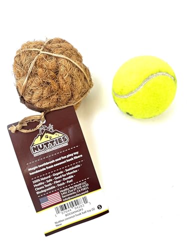 Nutties for Dogs Ball aus natürlicher Kokosfaser, Spielzeug und magische Zahnbürste, 2 Größen (klein) von Nutties coconut husk ball toy for dogs and cats