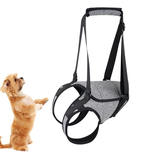 Hebegeschirr Für Hunde – Sling-Stützgeschirr, Haustier-Stützbeingeschirr | Senior Dogs Support Rear Sling, Senior Dog Harness Pet Walking Aids, Hinterbeinstütze Für Gelenkverletzte Und Behinderte Hund Hebegeschirr Für Hunde – Sling-Stützgeschirr, Haustier-Stützbeingeschirr | Senior Dogs Support Rear Sling, Senior Dog Harness Pet Walking Aids, Hinterbeinstütze Für Gelenkverletzte Und Behinderte Hund von Nuyhadds