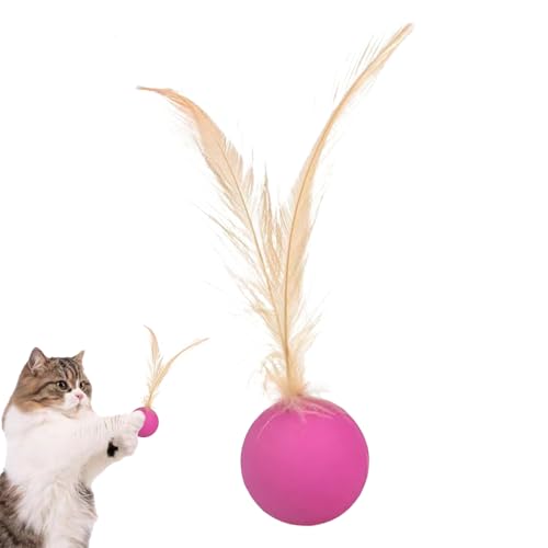 Katzenballspielzeug - Langweilig Von Federn Für Bewegungsjagd, Vielseitiger Gebrauch Cat Toy Ball | Innenübungskätzchenspielzeugfedern Für Katzentraining, Tragbare Interaktive Katzenbälle Für Das von Nuyhadds