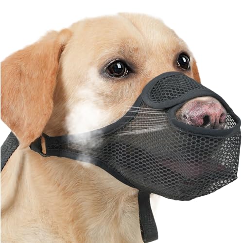 Mündung für Hund - weich atmungsaktive Haustiermündung, verstellbare Hundemundabdeckung | Anti-Biting Barking Mesh Mündung, sicher für das Training von Wanderungen, sanfte Fitmaske, Hundelemens für kl Mündung für Hund - weich atmungsaktive Haustiermündung, verstellbare Hundemundabdeckung | Anti-Biting Barking Mesh Mündung, sicher für das Training von Wanderungen, sanfte Fitmaske, Hundelemens für kl von Nuyhadds
