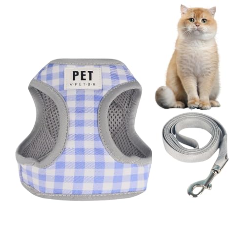 Nuyhadds Haustierweste, Geschirr mit Leine und Weste, verstellbares Hunde-Set, Polyestergewebe, drehbare Schnalle, Netz-Design, Outdoor-Trainingsgerät Nuyhadds Haustierweste, Geschirr mit Leine und Weste, verstellbares Hunde-Set, Polyestergewebe, drehbare Schnalle, Netz-Design, Outdoor-Trainingsgerät von Nuyhadds