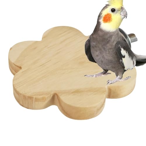 Nuyhadds Vogelstangen für Käfig, Sichtweite,Cockatiel Barch Stand - -Käfigzubehör für Sittiche Cockatiel Lovebirds Conures Brudgie Hamster Nuyhadds Vogelstangen für Käfig, Sichtweite,Cockatiel Barch Stand - -Käfigzubehör für Sittiche Cockatiel Lovebirds Conures Brudgie Hamster von Nuyhadds