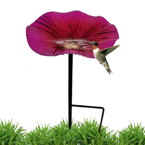 Nuyhadds Vogeltränke, Wasserstelle für Vögel, mit Metallstab, dekorativ, wasserdicht, ästhetische Gartendekoration, für Terrasse und Garten Nuyhadds Vogeltränke, Wasserstelle für Vögel, mit Metallstab, dekorativ, wasserdicht, ästhetische Gartendekoration, für Terrasse und Garten von Nuyhadds
