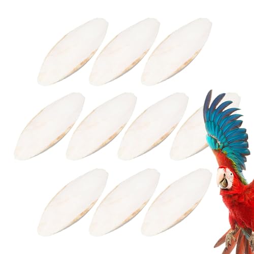 Papageien Knabberspielzeug - Papageien Kauspielzeug, Vogelschulp Sittiche Natürlich | Nymphensittich Futtersuchspielzeug, Kuschelknochenspielzeug Kleine Papageien für Papageien, Nymphensittiche Papageien Knabberspielzeug - Papageien Kauspielzeug, Vogelschulp Sittiche Natürlich | Nymphensittich Futtersuchspielzeug, Kuschelknochenspielzeug Kleine Papageien für Papageien, Nymphensittiche von Nuyhadds
