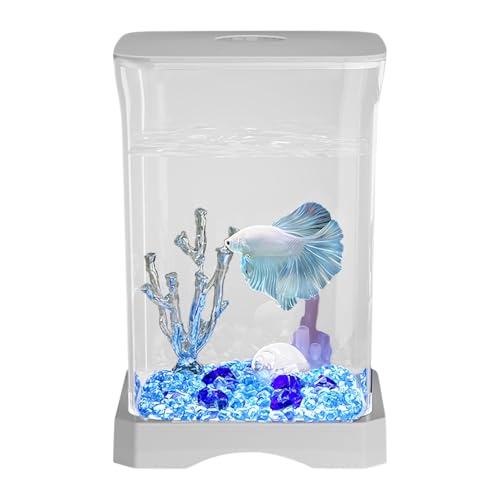 4k HD Clarity Fish Tank, Small Aquarium Design Aquarium, LED Light Included Betta Fish Tank, Modern Home Decor 11.8x11.8x17.7cm/4.65x4.65x6.97 for Home Offices Apartment Decor Kitchen Study Room 4k HD Clarity Fish Tank, Small Aquarium Design Aquarium, LED Light Included Betta Fish Tank, Modern Home Decor 11.8x11.8x17.7cm/4.65x4.65x6.97 for Home Offices Apartment Decor Kitchen Study Room von Nuyhgtr