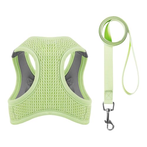 Ausbruchsicheres Katzengeschirr für Outdoor-Abenteuer, Step-In-Design, reflektierende, atmungsaktive Netzjacke, leichtes Laufgeschirr für alle Arten von Katzen, sicheres und bequemes Katzengeschirr Ausbruchsicheres Katzengeschirr für Outdoor-Abenteuer, Step-In-Design, reflektierende, atmungsaktive Netzjacke, leichtes Laufgeschirr für alle Arten von Katzen, sicheres und bequemes Katzengeschirr von Nuyhgtr