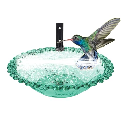 Bird Bath Outside, 9-Inch Wall Mounted Outdoor Bird Bath, Transparent Hangable Water Basin, Flower-Shaped Statue for Hummingbird, Parrot, and Parakeet Feeding von Nuyhgtr