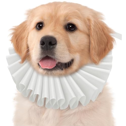 Dog Renaissance Ruff Collar, Cat and Dog Ruffled Neck Accessory, Elizabethan Style Costume, Soft Fabric Design, Lightweight Pet Wear, Perfect for Small Also Medium Pets Dress Up Dog Renaissance Ruff Collar, Cat and Dog Ruffled Neck Accessory, Elizabethan Style Costume, Soft Fabric Design, Lightweight Pet Wear, Perfect for Small Also Medium Pets Dress Up von Nuyhgtr