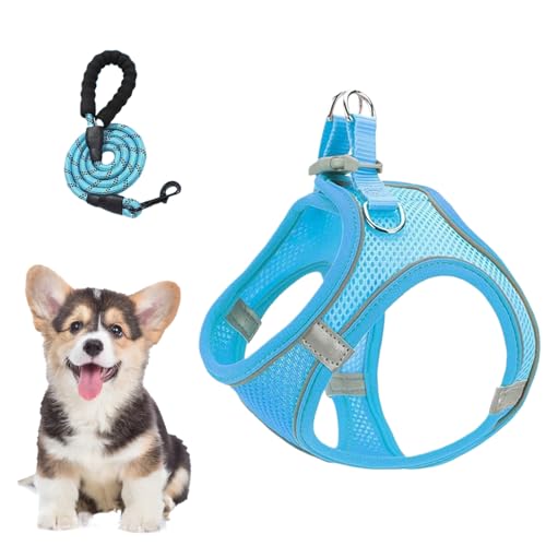 Hundegeschirr Mit Leinen - Mesh Geschirr und Hundeleinen Kombination,Atmungsaktives Ausbruchssicheres Geschirr Für Welpen Kätzchen Wanderungen Tierarzt Camping Training von Nuyhgtr