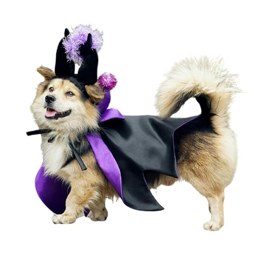 Katzenumhang Hexenhut-Kostüme, verstellbare Halloween-Hundekleidung, Hexenhund-Kostüm, Halloween-Hundekostüme, Haustier-Hexenkostüm, Katzen-Halloween-Kostüm, Hexenhut für Hunde Katzenumhang Hexenhut-Kostüme, verstellbare Halloween-Hundekleidung, Hexenhund-Kostüm, Halloween-Hundekostüme, Haustier-Hexenkostüm, Katzen-Halloween-Kostüm, Hexenhut für Hunde von Nuyhgtr
