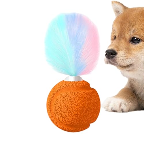 Nuyhgtr Ball- und Federn Katzenspielzeug - 2,5 -Zoll -interaktive Soundkugeln für Bewegung, Unterhaltung mit Hüpfspaß, Kätzchenspielspielzeug für Innenkatzen im Freien, Bunte, 1,97 x 1,97 x 4,33 Zoll Nuyhgtr Ball- und Federn Katzenspielzeug - 2,5 -Zoll -interaktive Soundkugeln für Bewegung, Unterhaltung mit Hüpfspaß, Kätzchenspielspielzeug für Innenkatzen im Freien, Bunte, 1,97 x 1,97 x 4,33 Zoll von Nuyhgtr