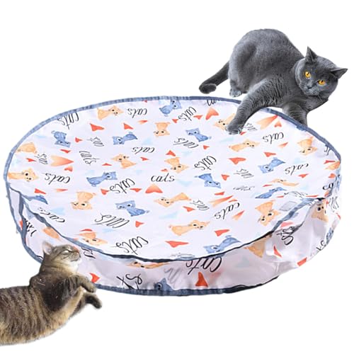 Nuyhgtr Interactive Cat Toys | Kitten Hunting Rolling Ball Toy | Simulated Hunting Toy for Cats | Engaging Exercise and Play for Cats Nuyhgtr Interactive Cat Toys | Kitten Hunting Rolling Ball Toy | Simulated Hunting Toy for Cats | Engaging Exercise and Play for Cats von Nuyhgtr