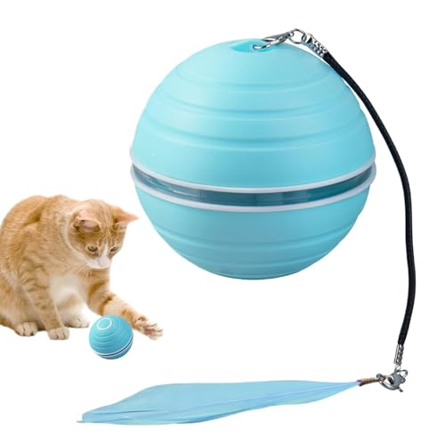 Nuyhgtr Rolling Cat Toy, Cat Self-Moving Toy, Self-Moving Cat Toy, Automatic Cat Toy, Funny Cat Ball Toy, 6.6x6.6 cm, Rechargeable Self-Moving Automatic Pet Toy for Small, Medium, and Large Cats von Nuyhgtr