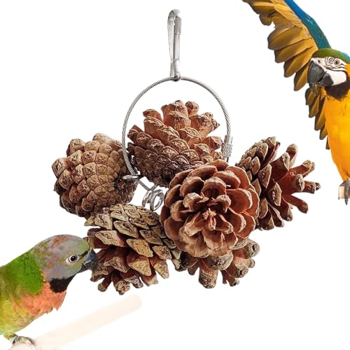 Pinecone Parrot Chew Toy, Natural Bird Toys, Chewing Bird Toys, Bird Cage Accessories, Macaw Chew Toys, Parrot Cage Toys, Cockatoo Chew Toy for Small and Medium-Sized Macaws, Cockatoos, Parakeet von Nuyhgtr