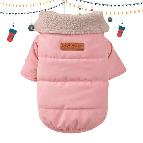 Warme Hundejacke, winddichter zweibeiniger Haustiermantel für kleine und mittelgroße Hunde, stilvolles Kragen-Design, Hundejacke für drinnen und draußen, kaltes Wetter Warme Hundejacke, winddichter zweibeiniger Haustiermantel für kleine und mittelgroße Hunde, stilvolles Kragen-Design, Hundejacke für drinnen und draußen, kaltes Wetter von Nuyhgtr