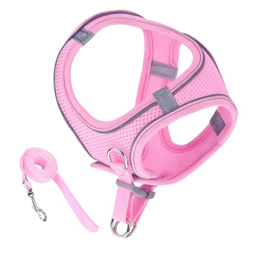Fluchtsicheres Katzen Geschirr | Weiches Reflektierendes Mesh Geschirr Und Leine,Haustierzubehör Für Kleine Mittelgroße Große Tiere Reisen Rucksack Outdoor Wandern Fluchtsicheres Katzen Geschirr | Weiches Reflektierendes Mesh Geschirr Und Leine,Haustierzubehör Für Kleine Mittelgroße Große Tiere Reisen Rucksack Outdoor Wandern von Nuytghr