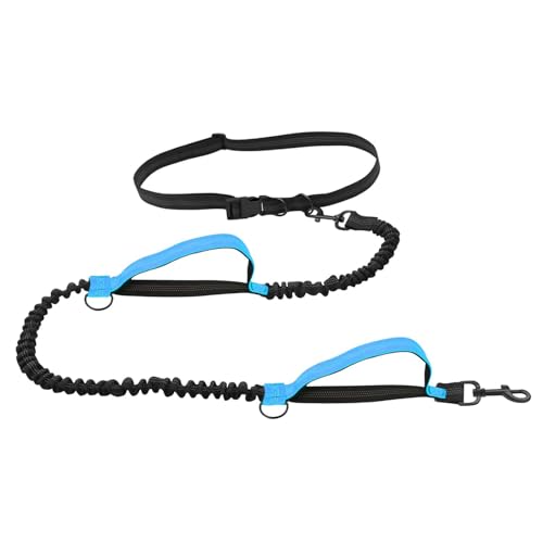 Gasseil zum Spazierengehen, elastisches Traktionsseil für Hunde, reflektierendes Hundeseil, verstellbare Taille, Hundespaziergang und Trainingsseil Gasseil zum Spazierengehen, elastisches Traktionsseil für Hunde, reflektierendes Hundeseil, verstellbare Taille, Hundespaziergang und Trainingsseil von Nuytghr