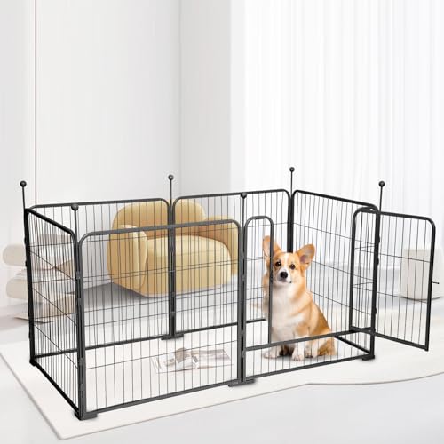 Großer Hundezaun für den Innenbereich, 6 Stück, faltbarer , Metall-Trainings-Haustierzaun, erweiterbar, strapazierfähig, Welpeneisenzaun, Indoor-Hunde-Laufstall, Haustier-Sicherheitsbarriere, 80 x Großer Hundezaun für den Innenbereich, 6 Stück, faltbarer , Metall-Trainings-Haustierzaun, erweiterbar, strapazierfähig, Welpeneisenzaun, Indoor-Hunde-Laufstall, Haustier-Sicherheitsbarriere, 80 x von Nuytghr