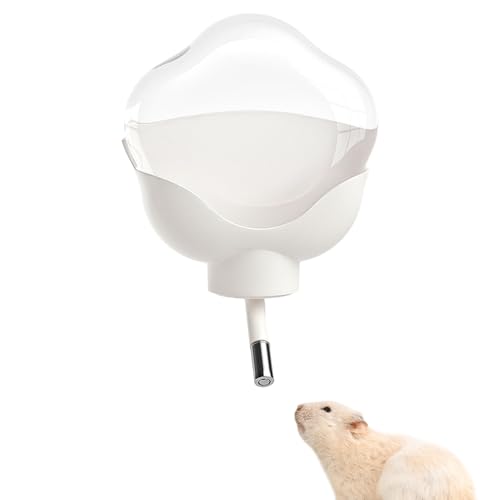 Hamster Wasser Spender | 500Ml Klar & Auslaufsicherer Trinkbehälter | Kleintier Trinkflasche - Für Die Hydratation Von Kleintieren Im Käfig Zuhause & Unterwegs Hamster Wasser Spender | 500Ml Klar & Auslaufsicherer Trinkbehälter | Kleintier Trinkflasche - Für Die Hydratation Von Kleintieren Im Käfig Zuhause & Unterwegs von Nuytghr