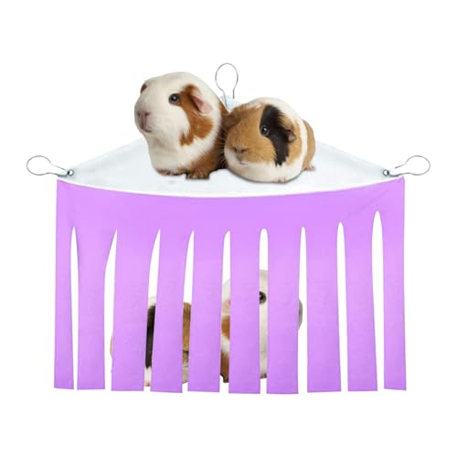 Nuytghr Chinchilla Hammock, Ferret Cage Bed, 12.4x10.63 inch, Small Pet Hanging Shelter, Multifunctional Habitat for Sleeping and Playing Hamster Dwarf Rabbit Sugar Glider Indoor Cage Nuytghr Chinchilla Hammock, Ferret Cage Bed, 12.4x10.63 inch, Small Pet Hanging Shelter, Multifunctional Habitat for Sleeping and Playing Hamster Dwarf Rabbit Sugar Glider Indoor Cage von Nuytghr