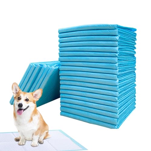 Pinkelpads für Welpen, Pinkelpads für Hunde - Große Hunde-Pipi-Pads | Super saugfähige Hunde- und Katzenwindel, Welpen-Haustier-Urin-Windelunterlage, Katzenstreu-Toiletten-Hundeprodukte für das Toilet Pinkelpads für Welpen, Pinkelpads für Hunde - Große Hunde-Pipi-Pads | Super saugfähige Hunde- und Katzenwindel, Welpen-Haustier-Urin-Windelunterlage, Katzenstreu-Toiletten-Hundeprodukte für das Toilet von Nuytghr