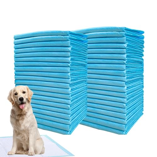 Töpfcheneinlagen für Hunde,Wee Wee Einlagen für Hunde, Super saugfähige Welpenunterlagen, Super saugfähige Haustierwindel, verdickte Windeleinlagen für Katzen und Hunde, schnell trocknende Oberflächen Töpfcheneinlagen für Hunde,Wee Wee Einlagen für Hunde, Super saugfähige Welpenunterlagen, Super saugfähige Haustierwindel, verdickte Windeleinlagen für Katzen und Hunde, schnell trocknende Oberflächen von Nuytghr