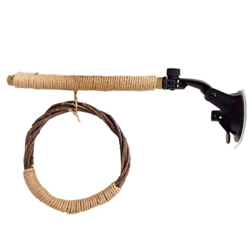 Vogelschaukel Spielzeug Spatzenständer Eingebauter Saugnapf Sitzstange Runde Schaukel Dusche Sitzstange Spielzeug für Käfig Sittiche 25 x 21 x 6 7 cm von Nuytghr