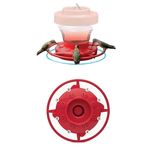 Vogelfutterspender zum Aufhängen, abnehmbarer Vogelfutterspender mit 8 Futteröffnungen, auslaufsichere Vogelfutterspender für kleine Vögel, Kunststoff-Vogelfutterspender zum Aufhängen für Garten, Vogelfutterspender zum Aufhängen, abnehmbarer Vogelfutterspender mit 8 Futteröffnungen, auslaufsichere Vogelfutterspender für kleine Vögel, Kunststoff-Vogelfutterspender zum Aufhängen für Garten, von Nuziku