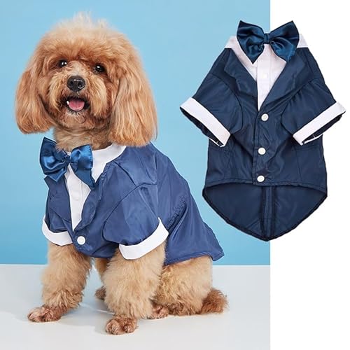 Nvzi - b Hunde- und Katzen-T-Shirt, atmungsaktives Haustier-Shirt, Welpen-Sweatshirt, Hundekleidung, Outfit, Bekleidung, Mäntel für kleine, mittelgroße Hunde und Katzen, Größe XL, A47 Nvzi - b Hunde- und Katzen-T-Shirt, atmungsaktives Haustier-Shirt, Welpen-Sweatshirt, Hundekleidung, Outfit, Bekleidung, Mäntel für kleine, mittelgroße Hunde und Katzen, Größe XL, A47 von Nvzi