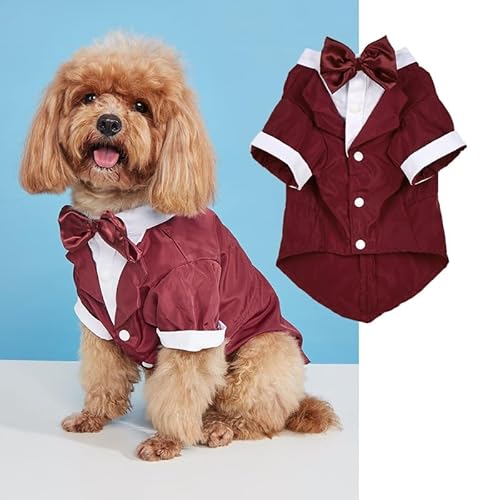 Nvzi - b Hunde- und Katzen-T-Shirt, atmungsaktives Haustier-Shirt, Welpen-Sweatshirt, Hundekleidung, Outfit, Bekleidung für kleine und mittelgroße Hunde und Katzen, S, A46 Nvzi - b Hunde- und Katzen-T-Shirt, atmungsaktives Haustier-Shirt, Welpen-Sweatshirt, Hundekleidung, Outfit, Bekleidung für kleine und mittelgroße Hunde und Katzen, S, A46 von Nvzi
