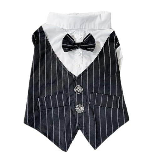 Nvzi -b Hunde- und Katzenanzug, atmungsaktives Haustier-Shirt, Welpen-Sweatshirt, Hundekleidung, Outfit, Bekleidung, Mäntel für kleine, mittelgroße Hunde und Katzen, Schwarz, Größe M Nvzi -b Hunde- und Katzenanzug, atmungsaktives Haustier-Shirt, Welpen-Sweatshirt, Hundekleidung, Outfit, Bekleidung, Mäntel für kleine, mittelgroße Hunde und Katzen, Schwarz, Größe M von Nvzi