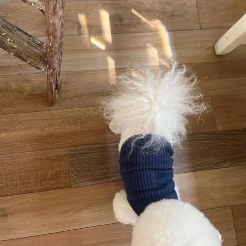Nvzi - b Hunde- und Katzenweste, atmungsaktive Haustierweste, Welpen-Sweatshirt, Hundekleidung, Outfit, Bekleidung für kleine, mittelgroße Hunde und Katzen, Größe M, A78 Nvzi - b Hunde- und Katzenweste, atmungsaktive Haustierweste, Welpen-Sweatshirt, Hundekleidung, Outfit, Bekleidung für kleine, mittelgroße Hunde und Katzen, Größe M, A78 von Nvzi
