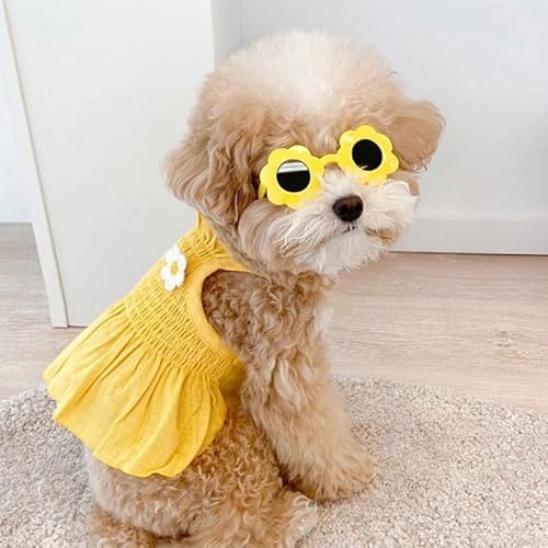 Nvzi - b Süßes Welpenkleid, süßes Prinzessinnenkleid, Katzenkleid, Hunderock für kleine Mädchen und Hunde (A68, S) von Nvzi